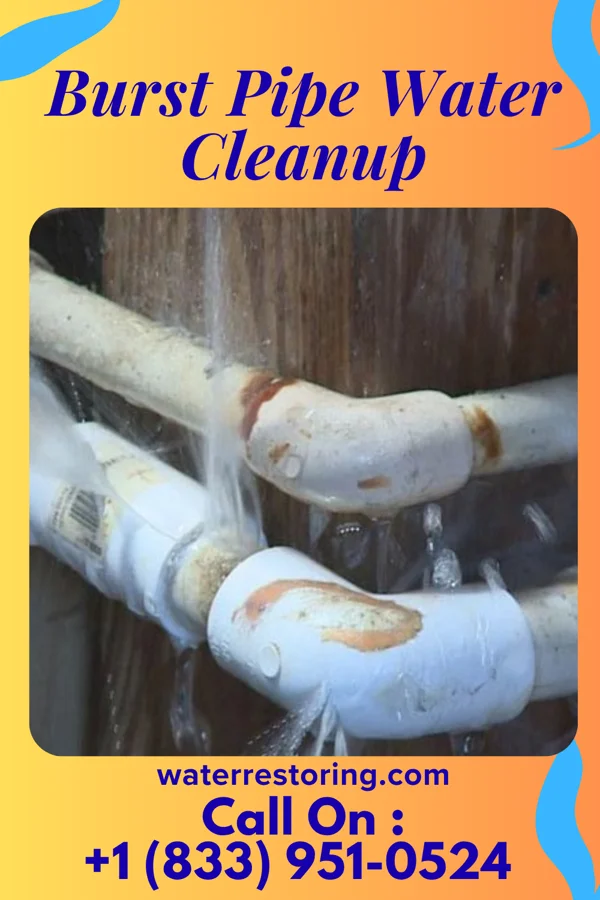 Burst Pipe Water Cleanup in Manns Choice, PA