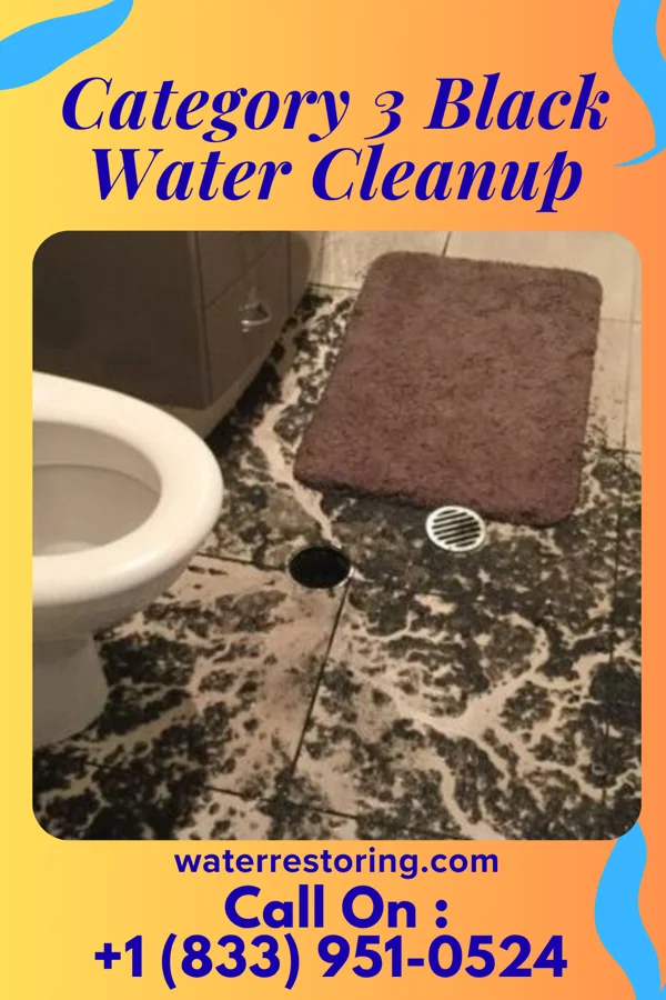 Category 3 Black Water Cleanup in Manns Choice, PA