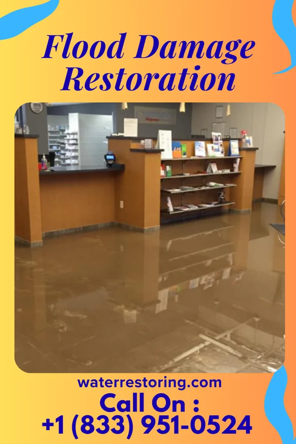 Flood Damage Restoration in Manns Choice, PA