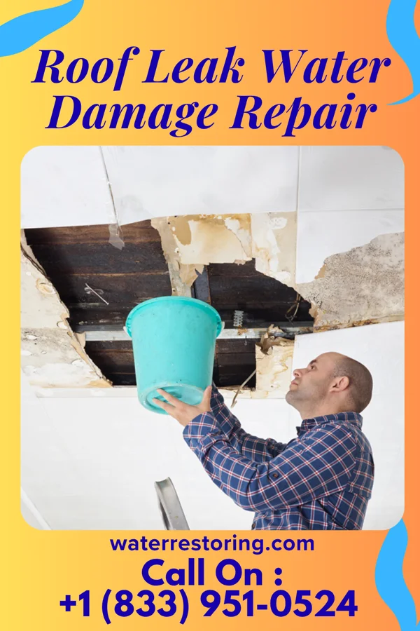Roof Leak Water Damage Repair in Manns Choice, PA