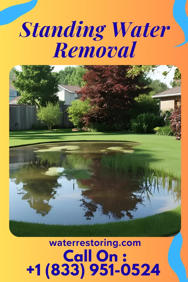 Standing Water Removal in Manns Choice, PA